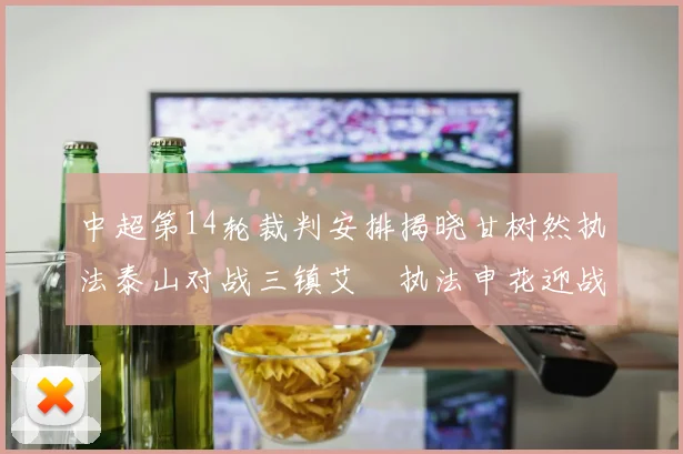 中超第14轮裁判安排揭晓甘树然执法泰山对战三镇艾堃执法申花迎战新鹏城