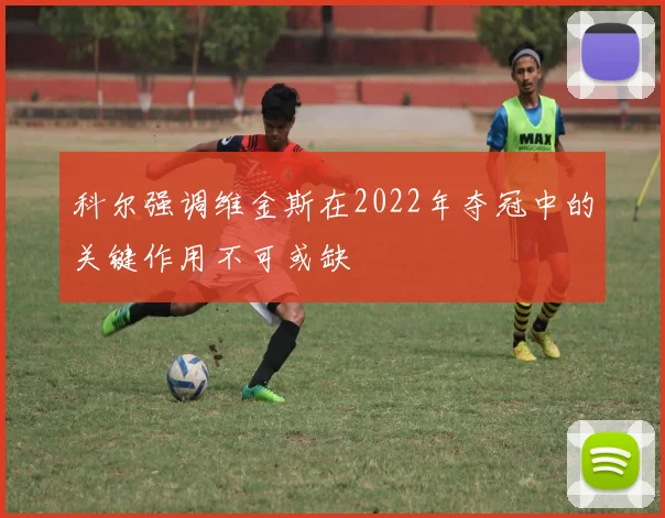 科尔强调维金斯在2022年夺冠中的关键作用不可或缺