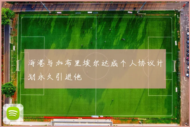 海港与加布里埃尔达成个人协议计划永久引进他
